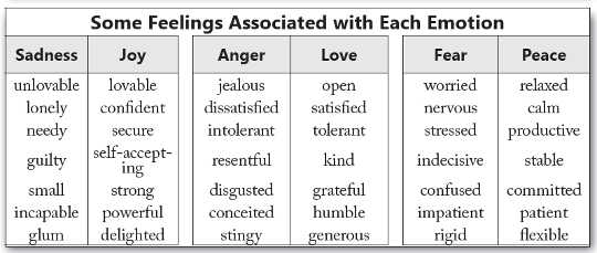 Feelings are the labels we attach to our emotions. Feelings are the labels we attach to our emotions.