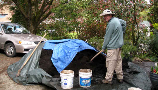 Digging in the Dung: Turning Tragedy and Pain into Insights and Wisdom