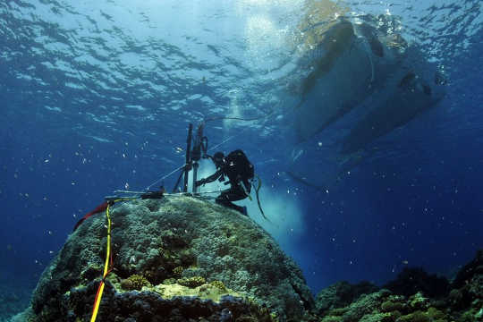 Corals can help reveal the climate of centuries past, long before weather records began. Eric Matson/AIMS, Author provided