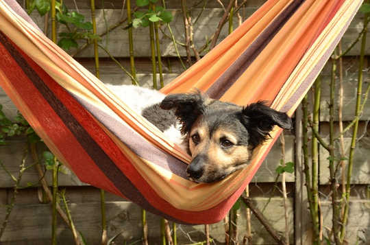 How To Find Life Balance, Harmony, and Joy