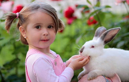 Nita’s Story: Discovering Your Power Animal and Finding Forgiveness Nita’s Story: Discovering Your Power Animal and Finding Forgiveness