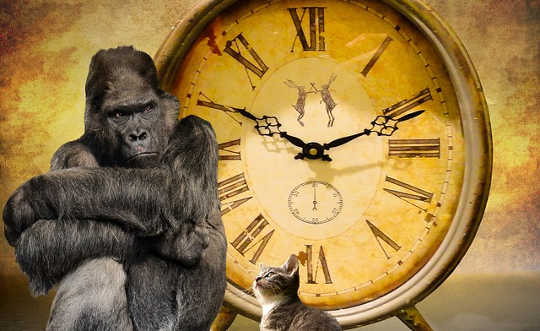 Why Can't We See The Five-Hundred-Pound Gorilla In The Room? Why Can't We See The Five-Hundred-Pound Gorilla In The Room?