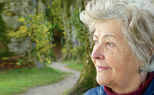 Navigating Life in the Senior Years: Adult Children and their Parents Navigating Life in the Senior Years: Adult Children and their Parents