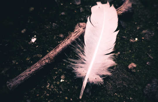 A Feather for Your Dream Journeys Into Healing A Feather for Your Dream Journeys Into Healing
