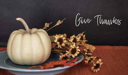 An Attitude of Gratitude: Enjoying the Here and Now An Attitude of Gratitude: Enjoying the Here and Now