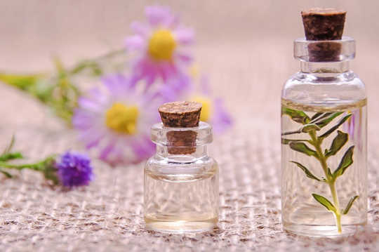 Living in the Now with Essential Oils, Mindfulness, and Meditation Living in the Now with Essential Oils, Mindfulness, and Meditation