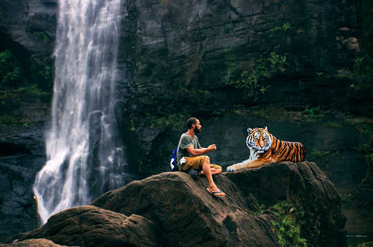 Heart Wisdom: Your Heart Always Knows What Your Mind Forgets Heart Wisdom: Your Heart Always Knows What Your Mind Forgets