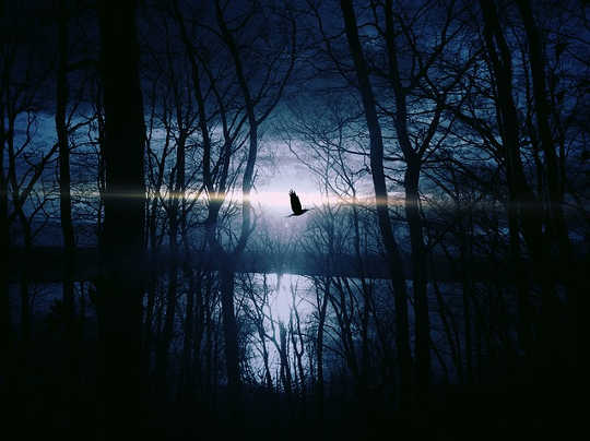 Sudden Twists of Fate? The Full Moon Magic Is Us