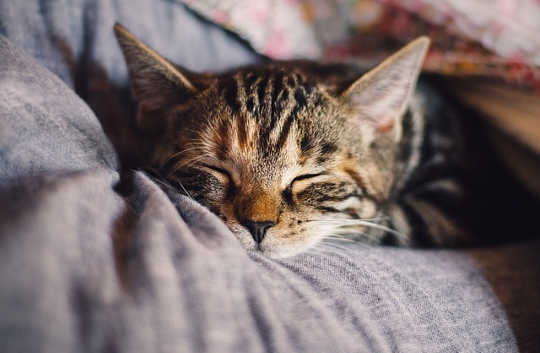 How to Relax...You Can't Be Stressed and Relaxed at the Same Time How to Relax...You Can't Be Stressed and Relaxed at the Same Time