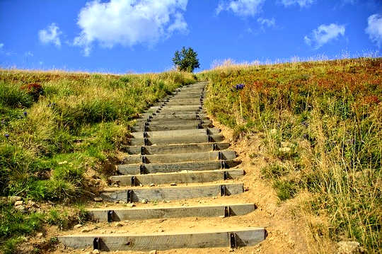 Courage Needed: New Beginnings Can Be Scary Courage Needed: New Beginnings Can Be Scary
