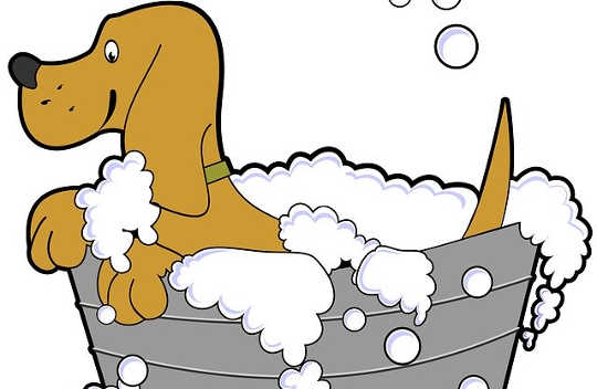 Are You Drinking Cleopatra's Bathwater? Are You Drinking Cleopatra's Bathwater?
