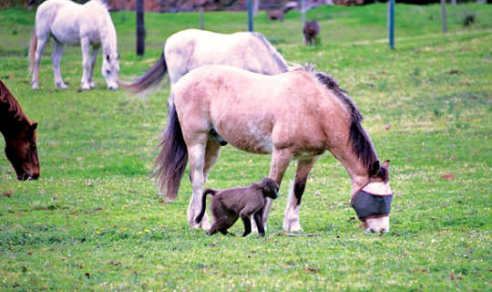 Tolero and Company Tolero and Company