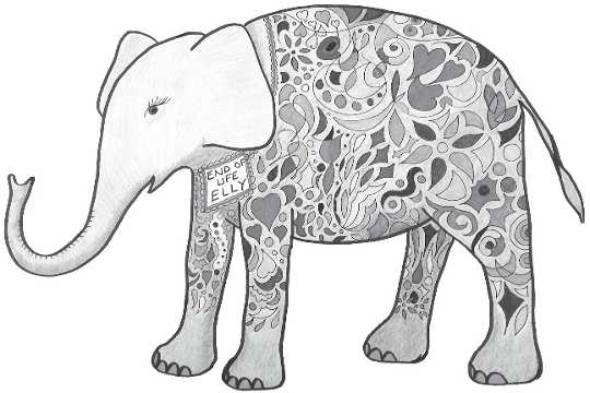 Elly, end of life elephant Elly, end of life elephant