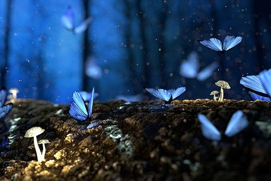 The Second Half of Life: Confusion and Mayhem or Transformation and Metamorphosis The Second Half of Life: Confusion and Mayhem or Transformation and Metamorphosis