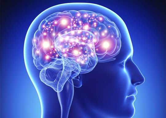 Your Brain, Healthy Fats, And The Importance Of Fitting Into Your Genes Your Brain, Healthy Fats, And The Importance Of Fitting Into Your Genes