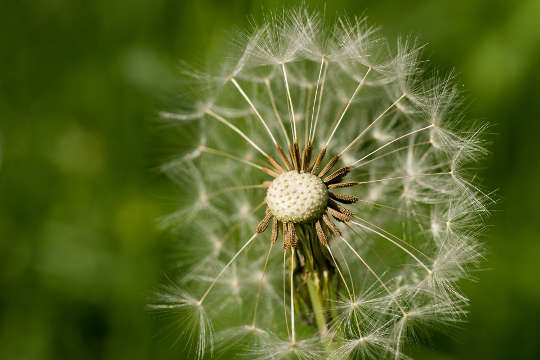 Acceptance and Change: Nature Changes Often Acceptance and Change: Nature Changes Often