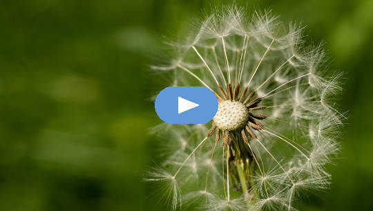 Acceptance and Change: Nature Changes Often Acceptance and Change: Nature Changes Often