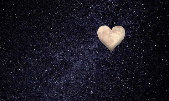 If Love Is The Answer, What Was The Question? If Love Is The Answer, What Was The Question?