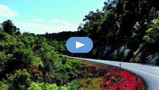 Don't Be So Hard On Yourself: Life's A Journey curving road in New Zealand