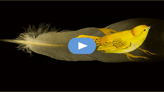 The Blessings of the Entire Nature Kingdom small yellow bird standing on a big bird feather