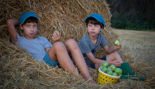 Does Being Tough on Young People Improve Performance? two young boys who were picking apples sitting by a haystack