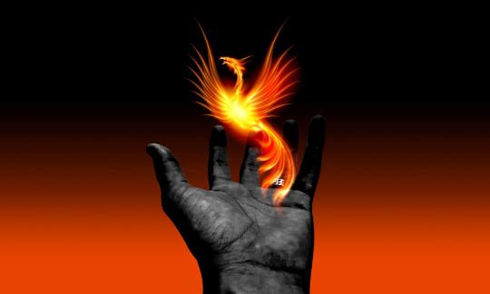 Spiritual Revolution in the Land of the Phoenix a phoenix rising out of an open hand