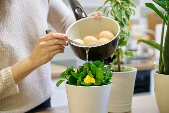 Five Easy Ways to Use Less Water at Home Five Easy Ways to Use Less Water at Home