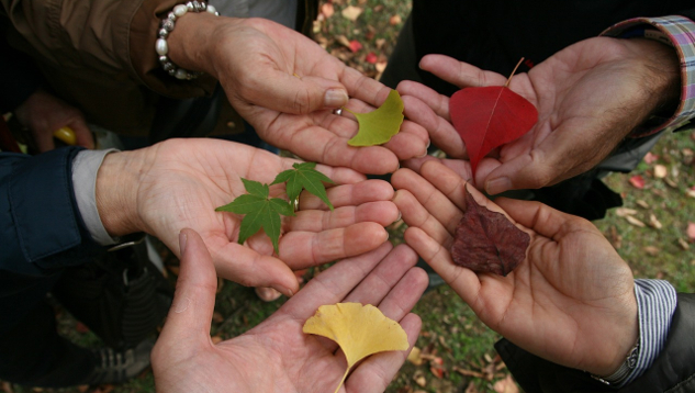 Tolerance and Acceptance in a World of Constant Contrasts a circle of open hands each holding a leaf with a different color and shape