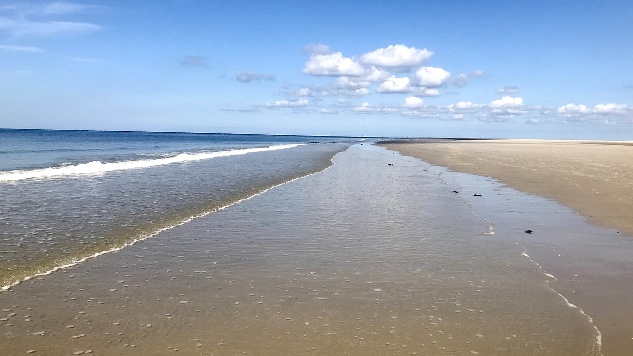 Articles by Barbara Berger on InnerSelf.com beach on the North Sea