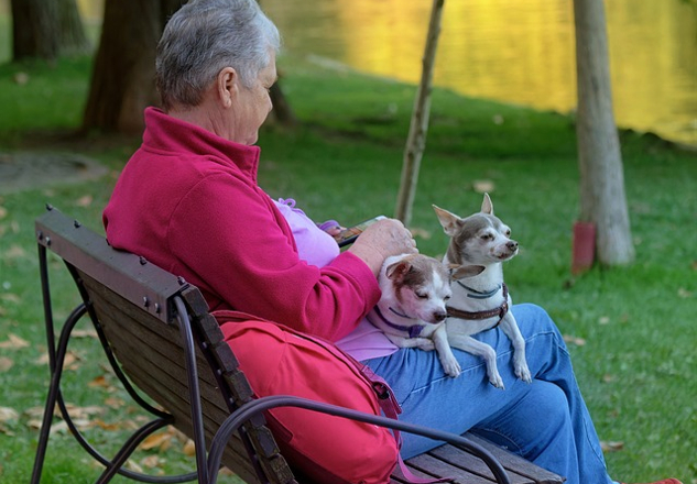 Grandma Knowledge: Caring for Ourselves Is Caring for Others a white-haired woman sitting outside with two small dogs on her lap