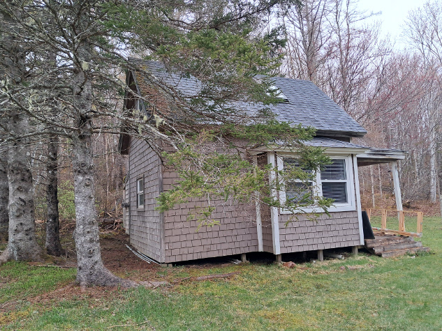 Cabin in woods 5 7