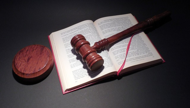 An image of a judge's gavel on top of an open book. Image by succo from Pixabay.&nbsp;