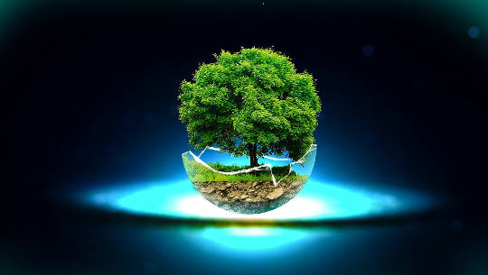 04 06 from dirt to soil 1183663 1920