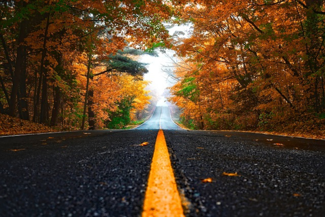 An autumn road heading towards the light. Image by Wokanapix from Pixabay.&nbsp;