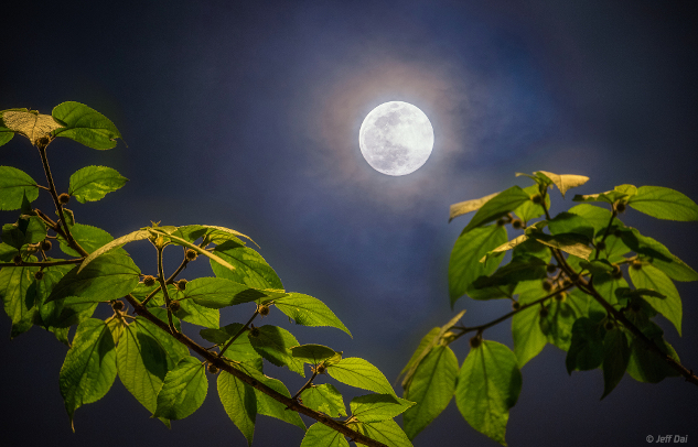 Astrological Overview and Horoscope: April 27 to May 3, 2026, InnerSelf.com Full Moon of Spring Image Credit & Copyright: Jeff Dai (TWAN). Astrological Overview and Horoscope: April 27 to May 3, 2026, InnerSelf.com