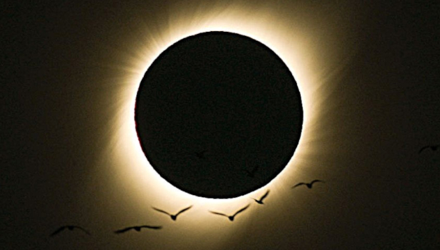 Astrological Overview and Forecast: August 10 to 16, 2026