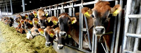 What Is a Demitarian and Why Do More People Need To Become One? What Is a Demitarian and Why Do More People Need To Become One?