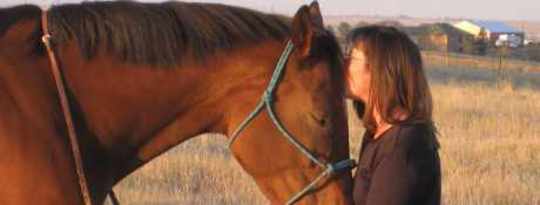 Horses and the Mystical Path Horses and the Mystical Path