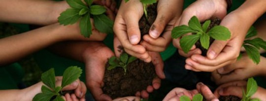 In God's Garden: Living the Good News in a Changing Climate In God's Garden: Living the Good News in a Changing Climate