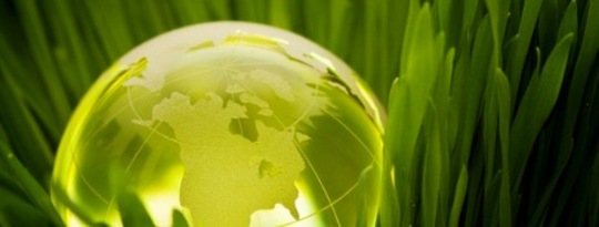 The Myth of Progress vs. Sustainability and Treating All Life as Sacred The Myth of Progress vs. Sustainability and Treating All Life as Sacred