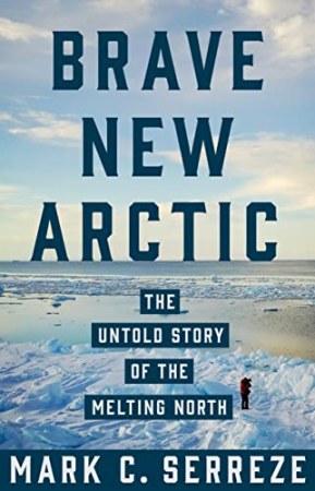 Brave new Arctic