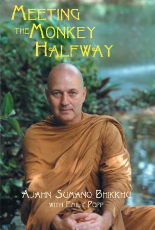 Meeting the monkey halfway