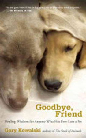 Goodbye, friend