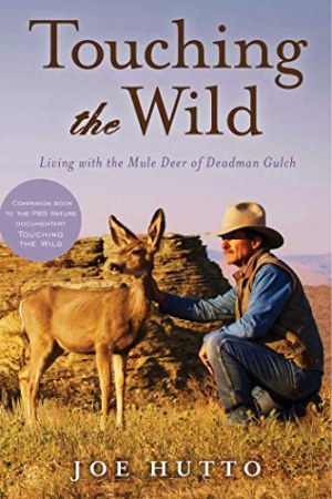 Touching the wild