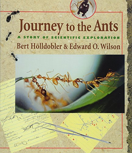 A journey to the ants